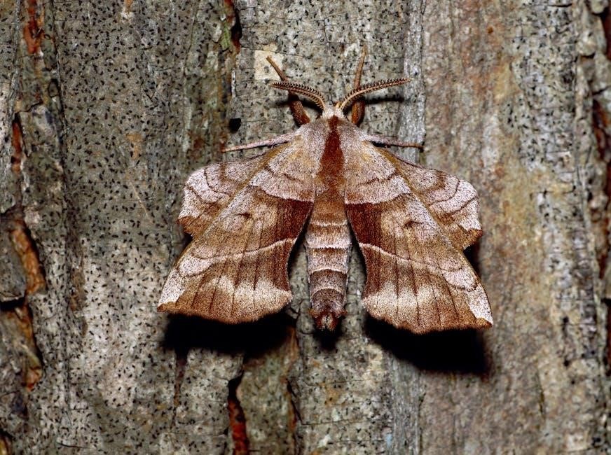 IQ/OQ/PQ Examples & Templates in PDF | Free Downloads